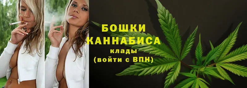 Бошки Шишки THC 21%  blacksprut как зайти  Покров 